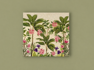 Botanical Garden Foldable Gift Tag  (Pack of 10)